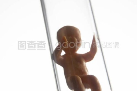 http://guiyang.nbgk120.com/post/209.html|贵阳捐卵费用