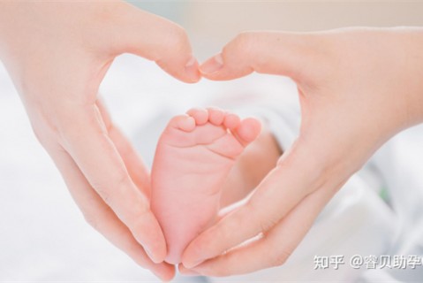 夏天贵阳捐卵宝宝发烧 莫要急