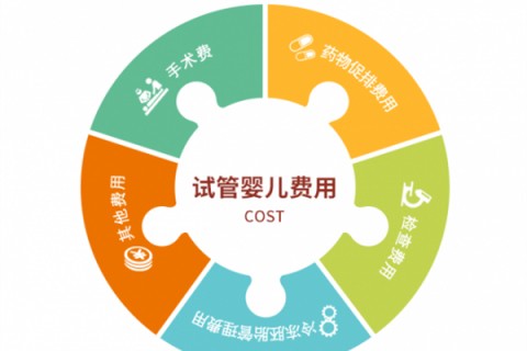 贵阳捐卵宝宝肚痛，父母该怎么办？